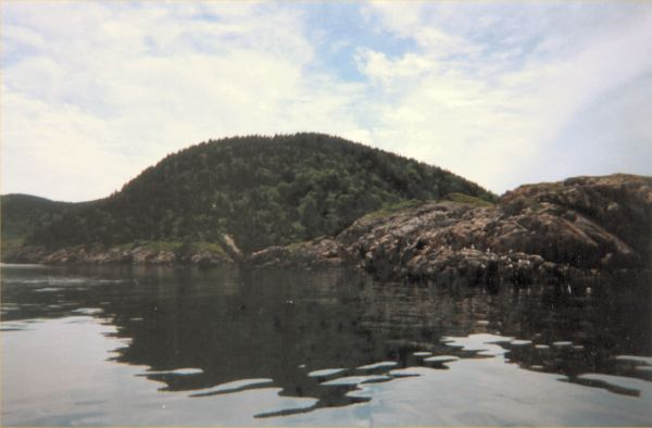 566: Red Island. "Margaries Cove Point". (2000) [courtesy of Madonna (Bishop) Mulrooney]